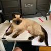 Eric Marshall - @eric.marshall - TikTok