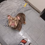 eric - @ericmarsland23 - Instagram