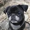 Eric Martens - @eric.martens7 - TikTok