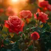 Eric Martin - @eric.martin9457 - TikTok