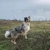Eric Masse - @eric.masse6 - TikTok