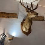 Eric Masson - @ericmasson76 - Instagram