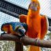 Eric Mathieu - Facebook