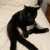 eric_meyerson - @eric_meyerson - TikTok