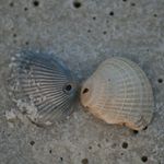 Eric Maynard - @eric_maynard - Instagram