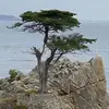 ericmcalister2 - @ericmcalister2 - TikTok