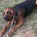Eric McCarty - Facebook