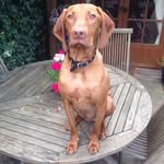 Eric Mccormick - @ecmcc1009 - Instagram