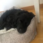 Eric McCormick - @eric_mccormick2011 - Instagram