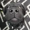 Eric McCulloch - @ericmcculloch1 - TikTok