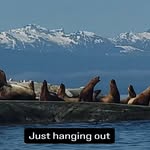 Eric Mcculloch - @itsadventuretime369 - Instagram