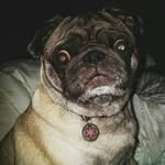 Erik McKibben - @bwcatpeeler - Instagram