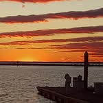 Eric McLendon - @ozonafishcompany - Instagram