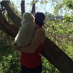 Eric McLeod - @ericmcleod22 - Instagram