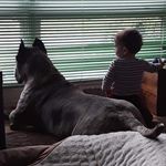 Eric Mcleod - @eric.mcleod - Instagram
