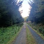 eric mcmahon - @eric_mcmahon67 - Instagram