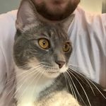 Eric Mead - @simple_jack_ - Instagram