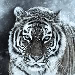 Eric Meck - @meck8834 - Instagram