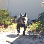 @eric_mecko - Instagram