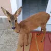 Eric xxx - @eric.middernacht - TikTok