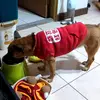 eric - @eric_mei - TikTok