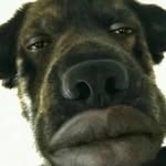 Eric - @eric_le_meilleur69 - Instagram