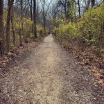 Eric Meisel - @whose_woodsarethese - Instagram