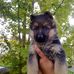 Eric Meiselbach - Facebook
