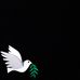 Eric Menard - Facebook