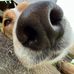 Eric Menard - Facebook