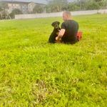 Eric Merchant - @eric_merchant_official - Instagram