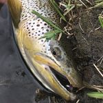 Eric Merchant - @merchant4500 - Instagram