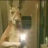 Erick Merchant - @erick.merchant2 - TikTok