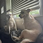 Eric Messner - @messnereric - Instagram