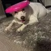 Eric Messner - @eric.messner - TikTok