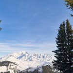 Eric Mesuere - @ericmesuere - Instagram