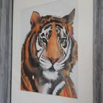 Eric Millar - @dundon_ian - Instagram