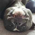 @eric.millington1 - Instagram