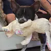 ericmitten - @eric.mitten6 - TikTok