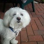 Eric Moeller - @em4270744 - Instagram