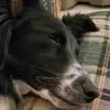 Ericmoen - @eric.moen - TikTok