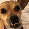 ericmoen - @ericmoen - TikTok