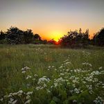Eric Moffitt - @ailedordesign - Instagram