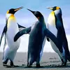 Eric Mojet - @ericmojet5 - TikTok