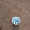 Eric Montano - @eric.montano3 - TikTok