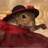 EricaMontefuscoPsi - @usersugarbush - TikTok