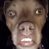 eric.moore3 - @eric.moore3 - TikTok