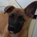 Eric Morin - Facebook