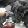 ericmorrill8322 - @ericmorrill8322 - TikTok