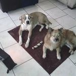 Eric Mosby - @e.mosby - Instagram